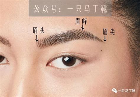 女人眉毛|眉形综合篇！这是一份超全面超详细的眉形攻略